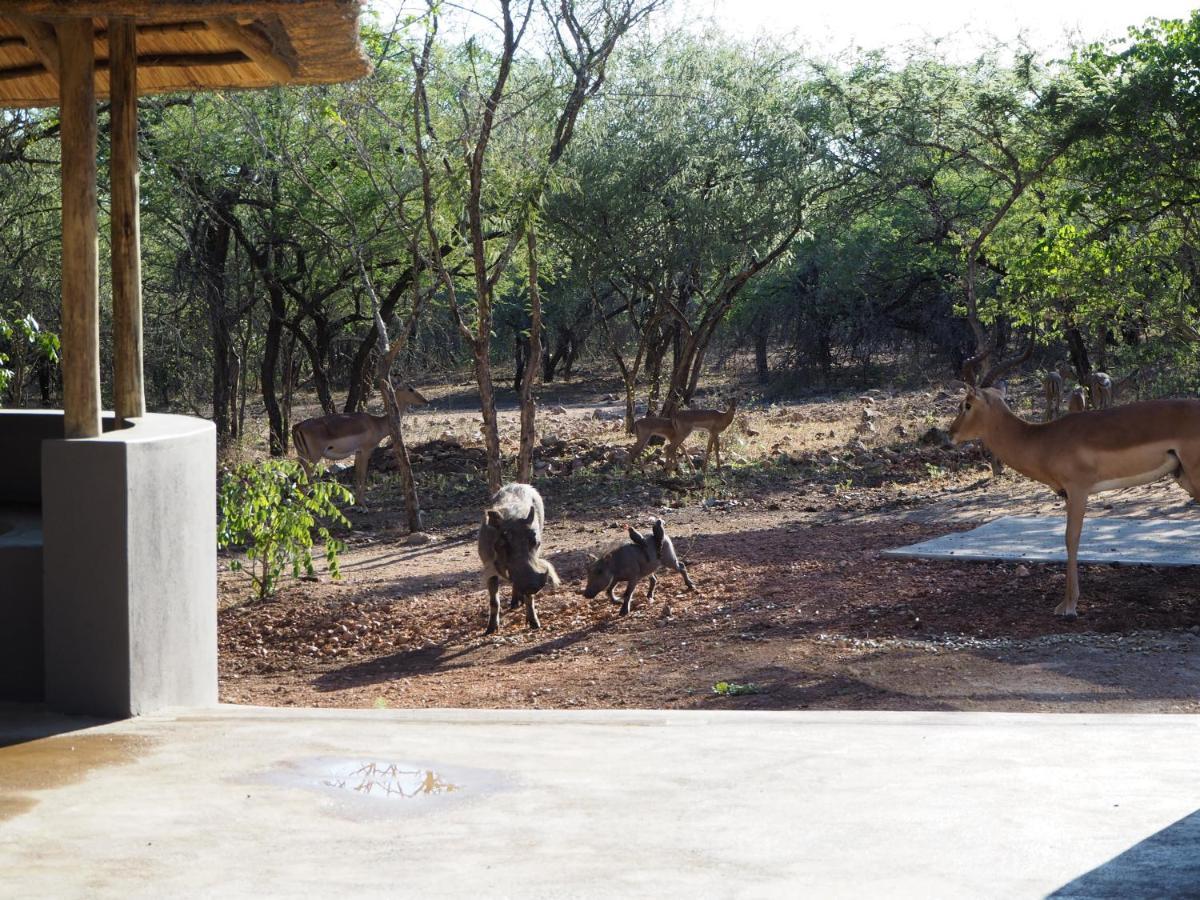 Pata Pata House Villa Marloth Park Eksteriør bilde