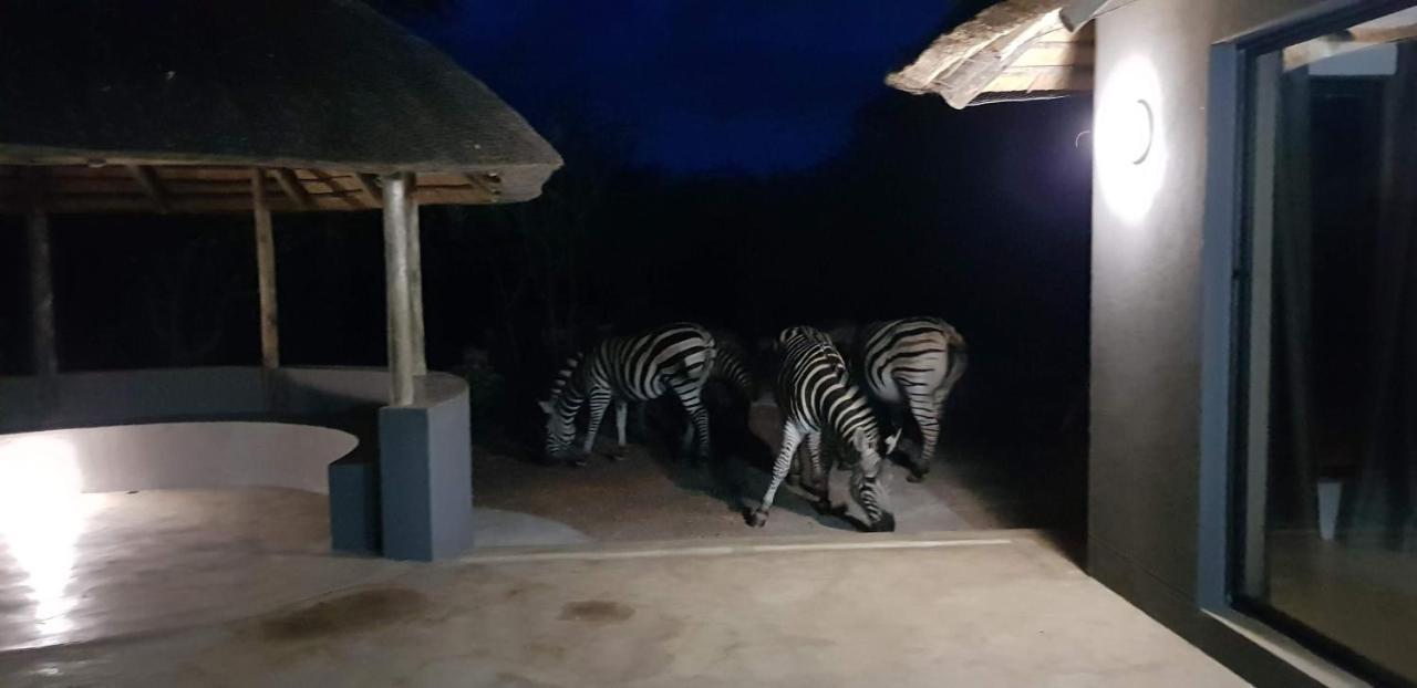 Pata Pata House Villa Marloth Park Eksteriør bilde