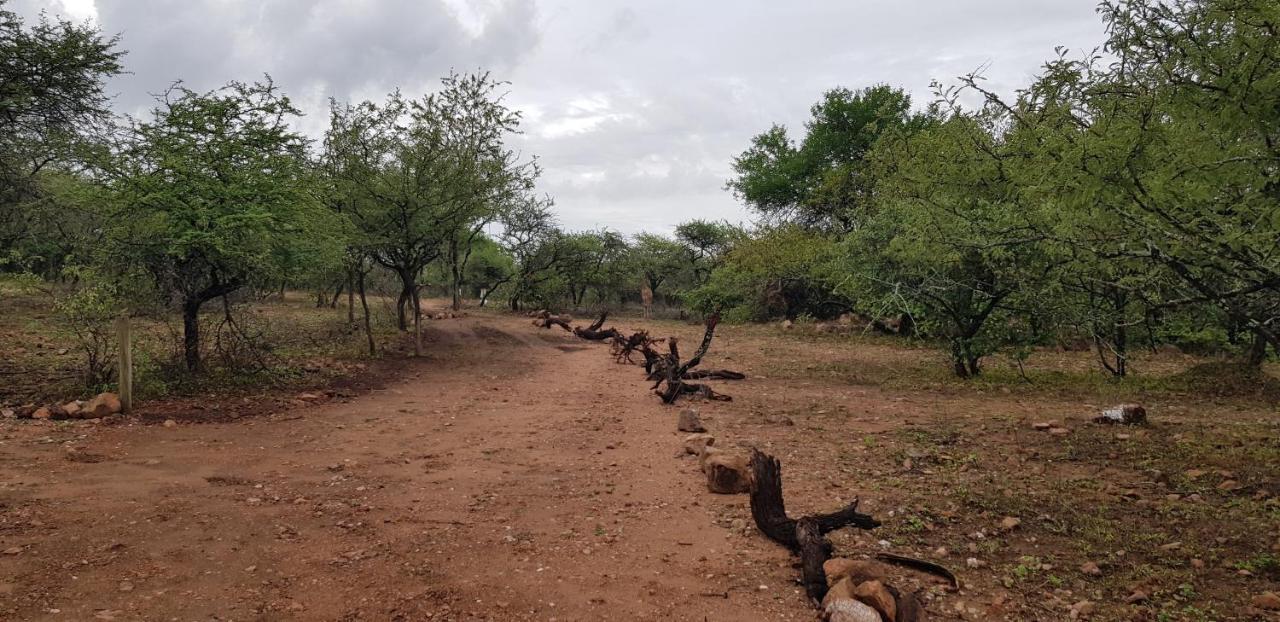 Pata Pata House Villa Marloth Park Eksteriør bilde