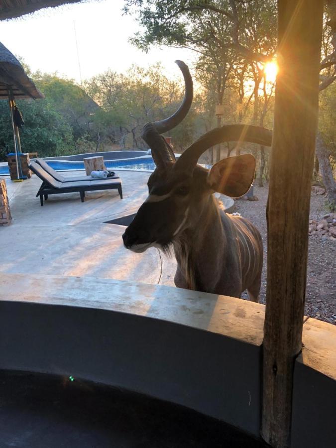 Pata Pata House Villa Marloth Park Eksteriør bilde